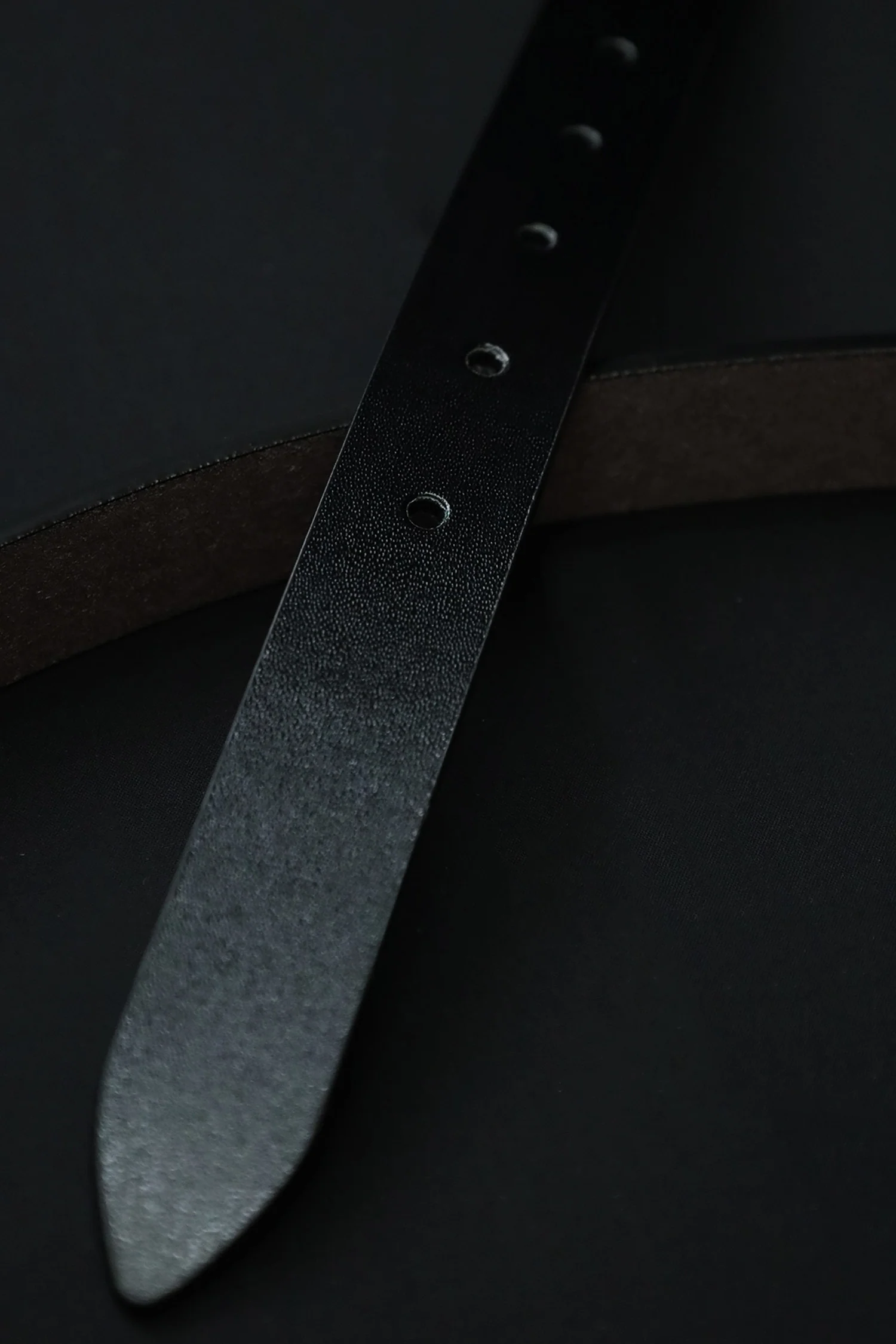Raph Luren Metal Alloy Automatic Buckle Branded Belt - Image 8